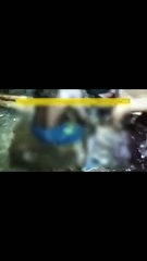 Graban ataque de anaconda en la selva