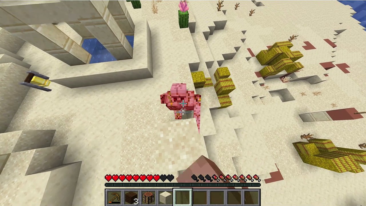desert survival
