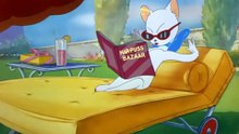 Tom And Jerry - 023 - Springtime for Thomas (1946)
