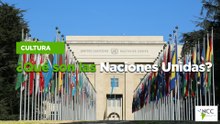 ¿Qué son las Naciones Unidas?