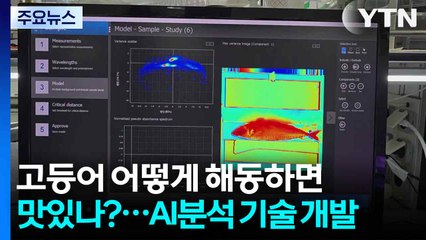 고등어 어떻게 해동하면 더 맛있나?...AI 분석 기술 개발 / YTN