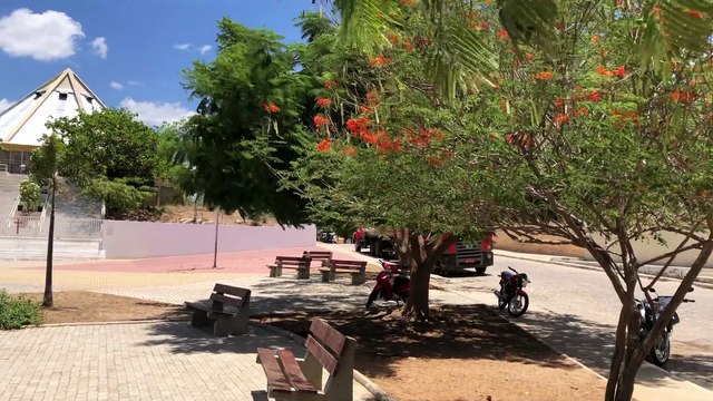 Intoxicação por uísque adulterado em Pernambuco: uma análise dos recentes casos e estratégias contra vendas ilegais