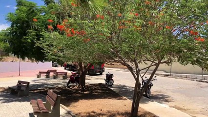 Os Impactos Perigosos de Bebidas Falsificadas: Uma História de Superar uma Tragédia Familiar