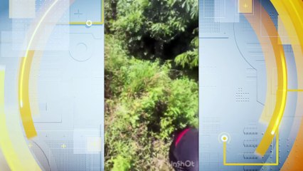 Desvendando o Crime Brutal em São Lourenço da Mata: sessão de Crueldade Filmada Envolve Funcionários Públicos e Traficantes