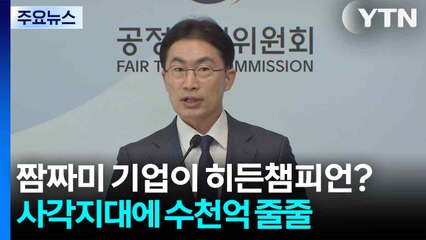 '짬짜미' 기업이 히든챔피언? 사각지대에 수천억 '줄줄' / YTN