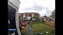 Brothers smash up home in terrifying doorbell footage