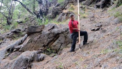 Le saut du berger, un sport traditionnel des iles Canaries.