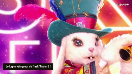 Le Lapin vainqueur de Mask Singer 8 : Un chanteur reconnu par tous les enquêteurs...Ou presque !