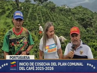 Inicia cosecha del Plan Comunal de Café 2025-2026 en el estado Portuguesa