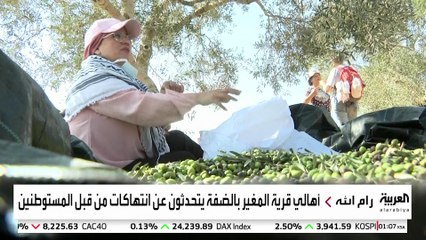 إطلاق مبادرة لحماية مزارعي الزيتون في رام الله من اعتداءات المستوطنين