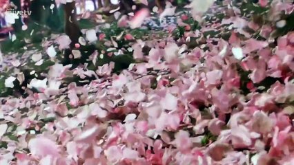 مسلسل همسات القدر الحلقة 2 مترجمة الصيني