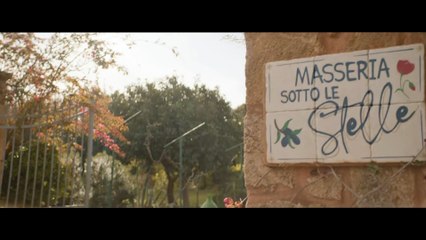 Under The Stars Movie (2025) - Alex Pettyfer, Eva De Dominici, Toni Collette, Andy Garcia