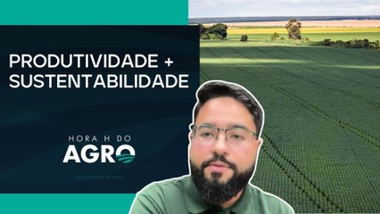 Sistema Plantio Direto comemora 50 anos de aplicação no Brasil | HORA H DO AGRO