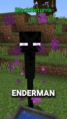 ¿por que el enderman le teme al agua minecraft? Teorias