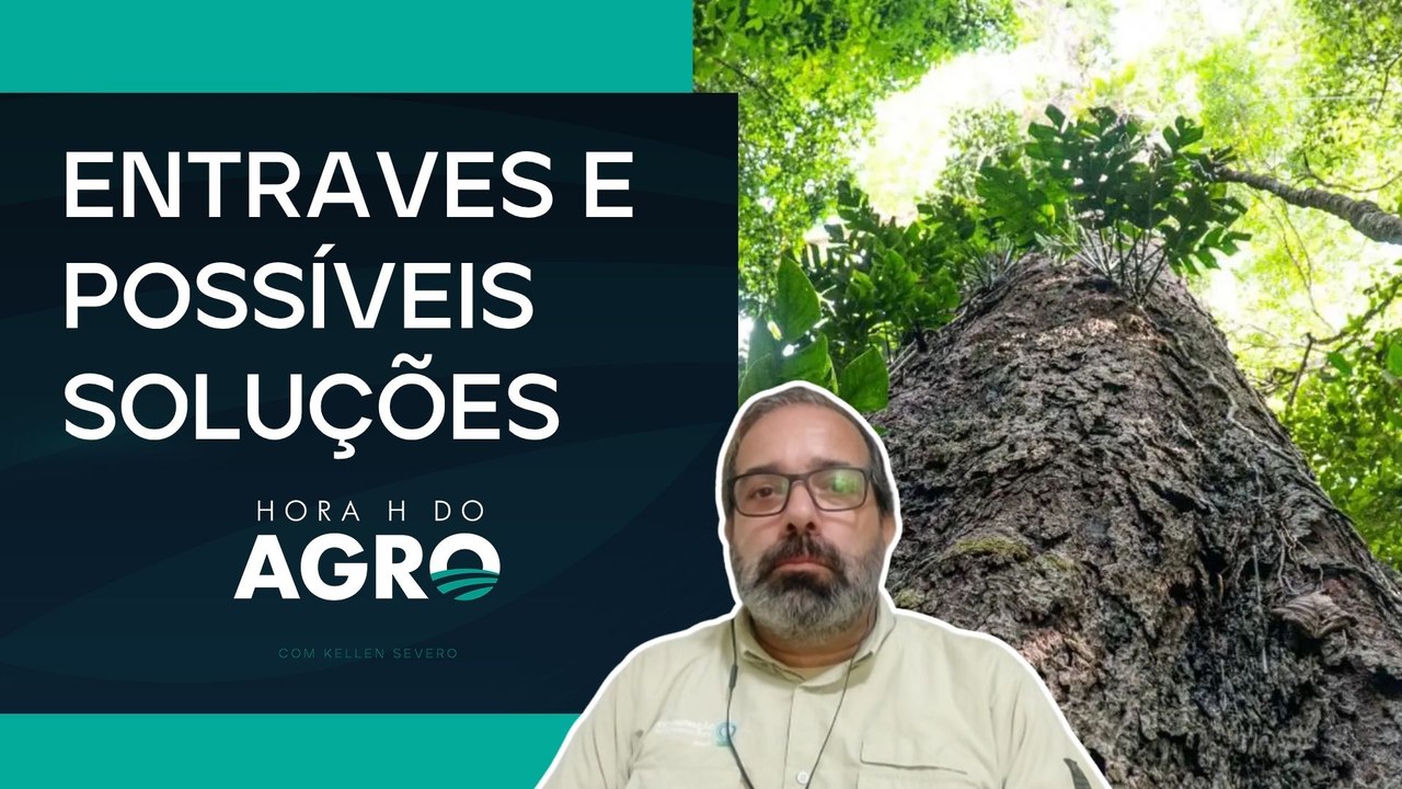 Código Florestal: como destravar US$ 5,7 bi em carbono e gerar 2,5 mi de empregos? | HORA H DO AGRO