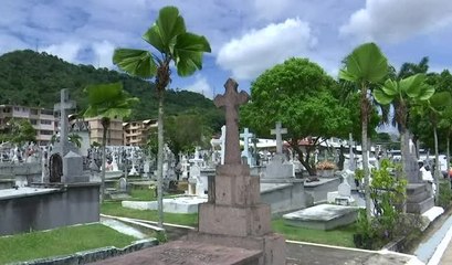 Aumenta la demanda de flores con el Día de los Difuntos