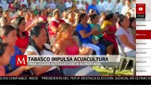 En Tabasco, el programa 
