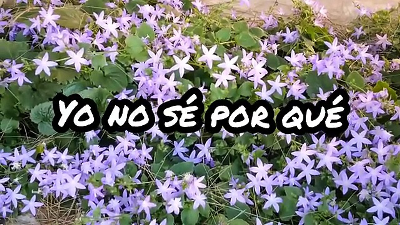 Novia Cumbianchera Yo no sé por qué canta Giselle Romina Castillo Vargas