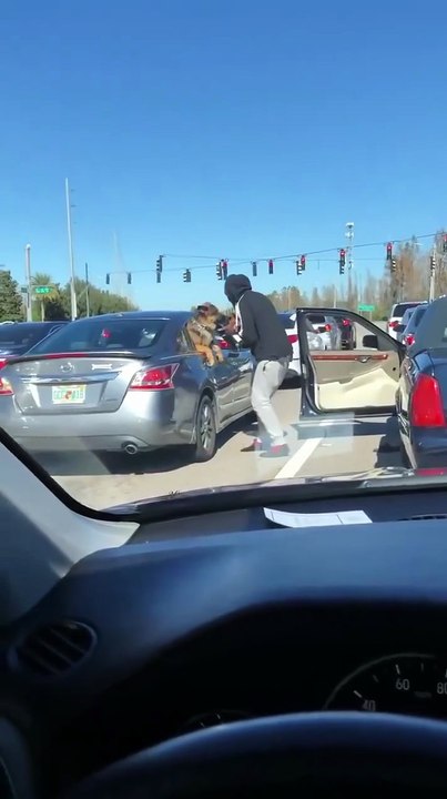 We all need traffic buddies