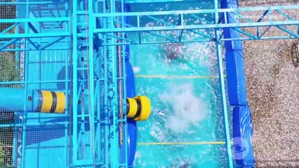 Desafío 2025 Capitulo 82 Desafío 2025 Capitulo 82