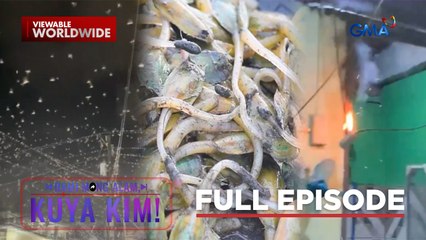 Daan-daang ibon, nagliparan bago ang lindol!; Extension cord, nagliyab! | Dami Mong Alam, Kuya Kim!