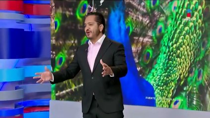 Bebote da información extra | Qué Importa