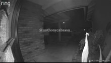 Robbers dressed as FBI agent to rob house in usa