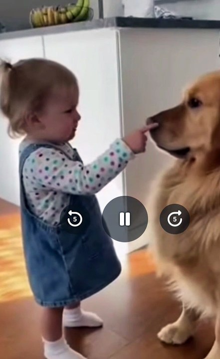 You listen to me big doggie