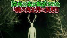 【伝説の生き物】警告！ 深夜の森で撮影された「鹿の角を持つ異形」
