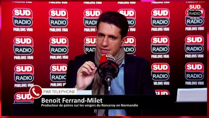 De plus en plus de fruits vendus comme "français" envahissent les étals des grandes surfaces