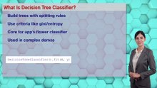 Day 64 Fast: Decision Tree Classifier – Beginner’s Guide for AI Coding | #DailyAIWizard