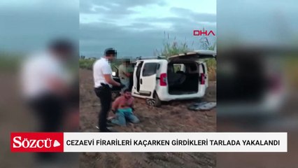 Jandarmadan kaçarken tarlada yakalandılar