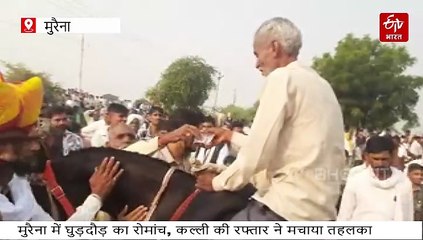 मुरैना के लीला मेले में घुड़दौड़ प्रतियोगिता, कल्ली और बिजली की रफ्तार देख दर्शक रोमांचित