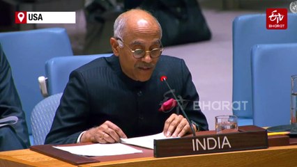 Democracy 'Alien Concept' For Pak, Must End Rights Abuses In Occupied Areas: India At UN