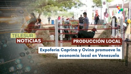 Gobierno de Venezuela  impulsa el desarrollo local con la Expoferia Caprina y Ovina 2025 en Miranda