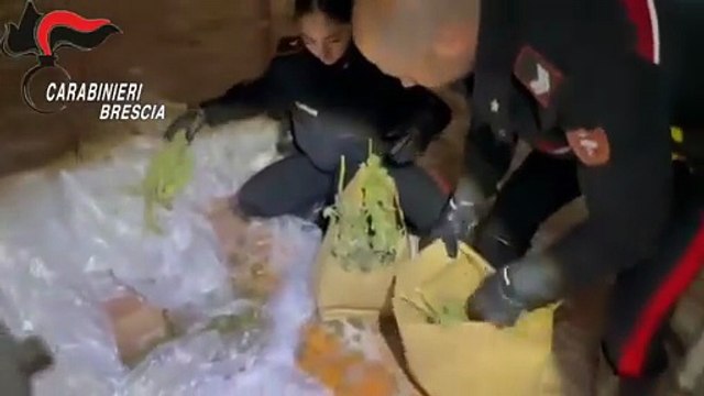 Chiari, marijuana messa a essiccare in una casa in ristrutturazione: denunciati due minorenni