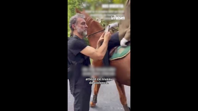 Une battue dégénère en forêt de Fontainebleau