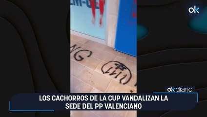 Los cachorros de la CUP vandalizan la sede del PP valenciano