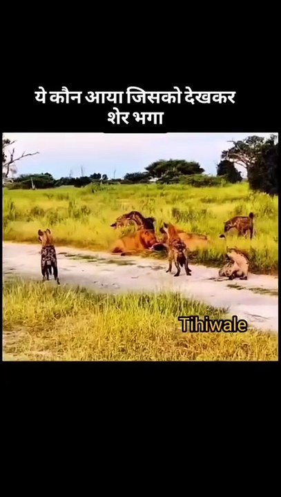 Ye ky ho gaya