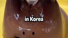 3 korean things that needs to exist in your country