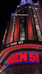 Est-ce que tu connais le secret de Chien 51 ?