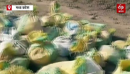 युवाओं व संतों की मेहनत से उज्जैन की चन्द्रभागा नदी में फिर बही धारा, सिंहस्थ में पहले शिप्रा भी मुस्कुराई