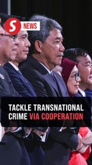 Bolster cooperation to tackle transnational crime, Tok Mat tells Asean