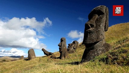 Easter Island's iconic Moai statues tower over grasslands