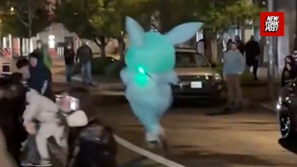 Portland ICE protester in bunny costume sprints to evade arrest
