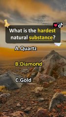 Who Painted the Mona Lisa? | Quick Quiz Challenge