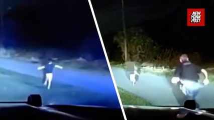 Hero cop's quick thinking saves child running down busy Florida highway