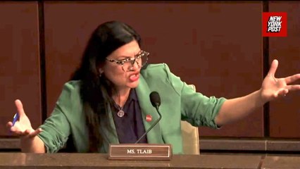 Tlaib accuses GOP of 'fascist takeover' as shouting match erupts in DC hearing