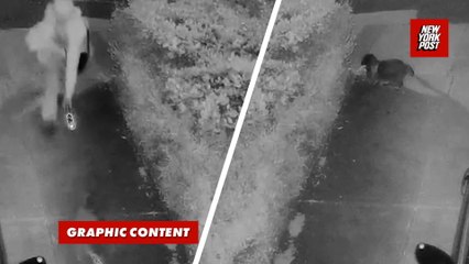 Police searching for suspect accused of chasing and burning raccoon with blowtorch