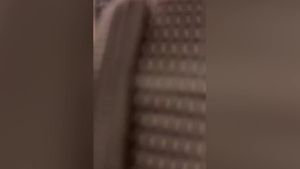 Chaos erupts after PATH lines suspended over fire investigation